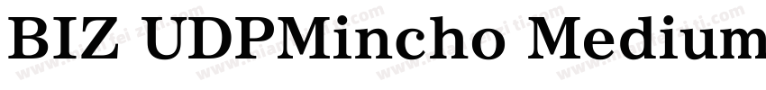 BIZ UDPMincho Medium字体转换